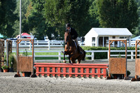 HSM_9822