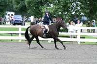 HSM_1053
