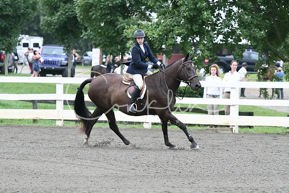 HSM_1053