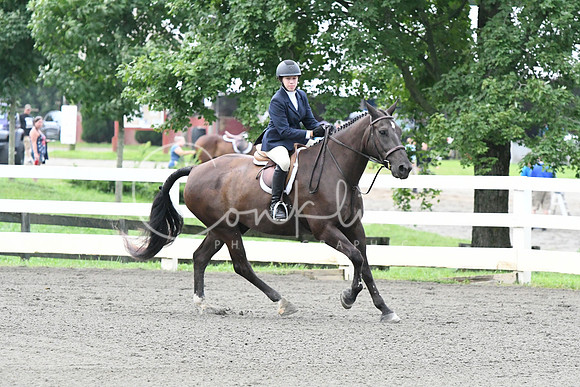 HSM_1106