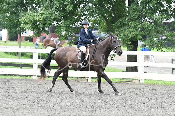 HSM_1107