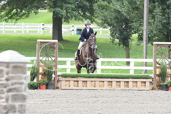 HSM_1168
