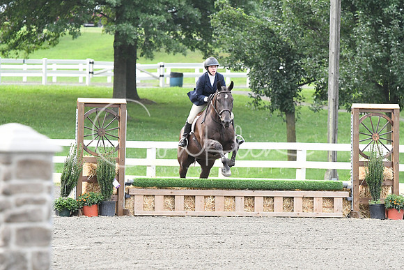 HSM_1169