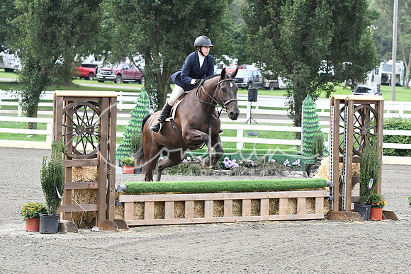 HSM_1171
