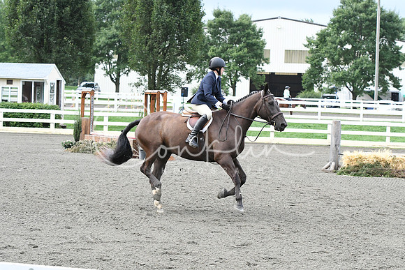 HSM_1173