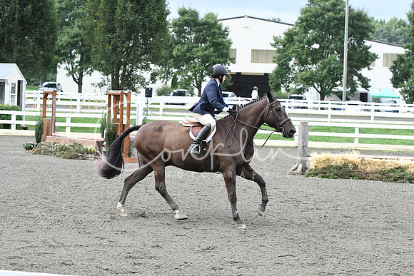 HSM_1174
