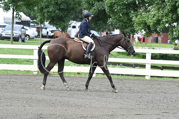HSM_1181