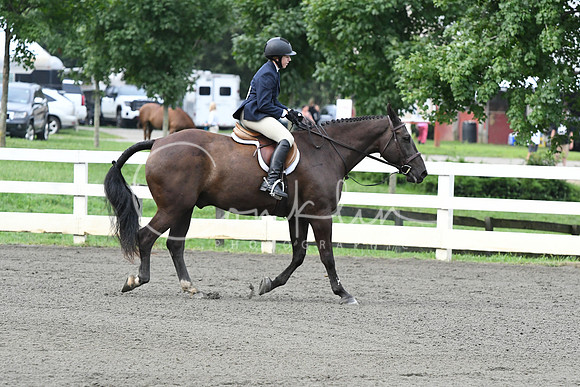 HSM_1182