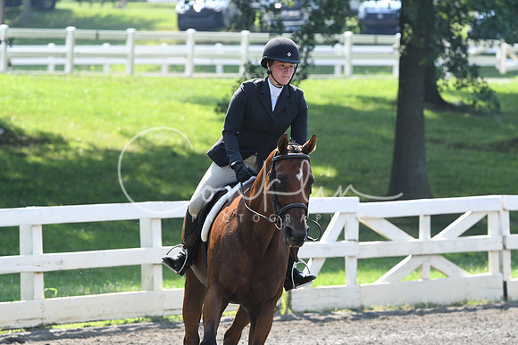 HSM_0270