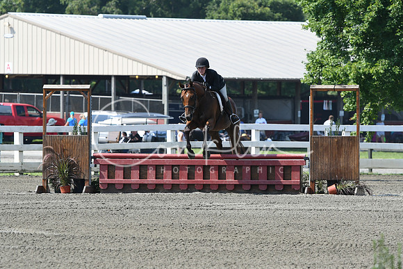 HSM_0272