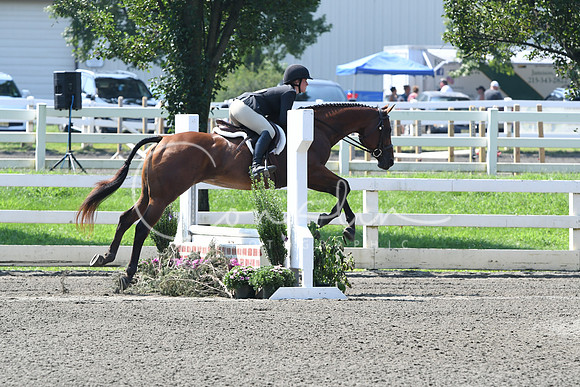 HSM_0323