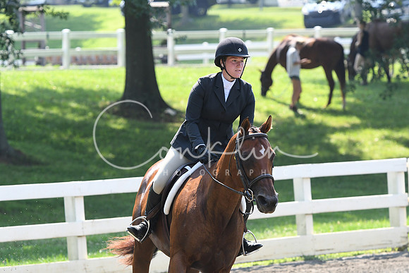 HSM_0328