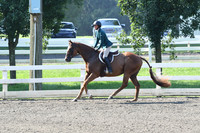 HSM_0095