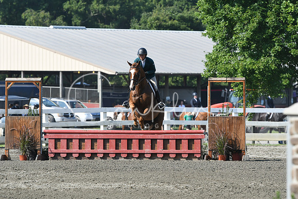 HSM_0098