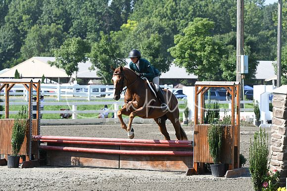 HSM_0101