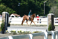HSM_0106