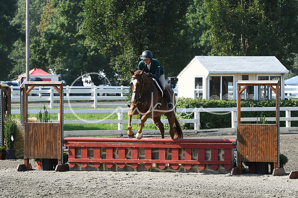 HSM_0135