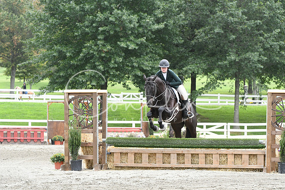 HSM_3498