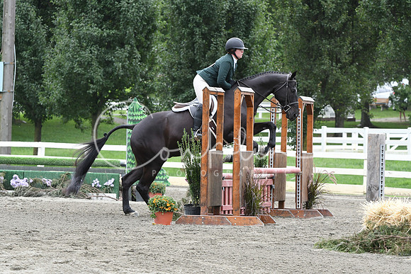 HSM_3501