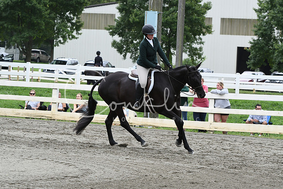 HSM_3504