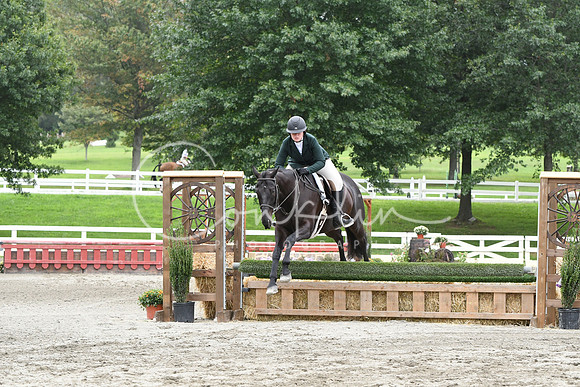 HSM_3597