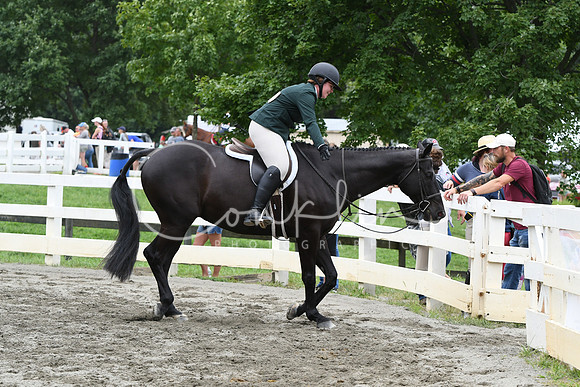 HSM_3611