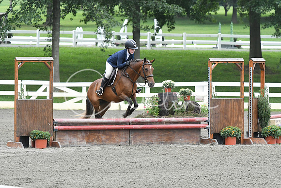 HSM_1793