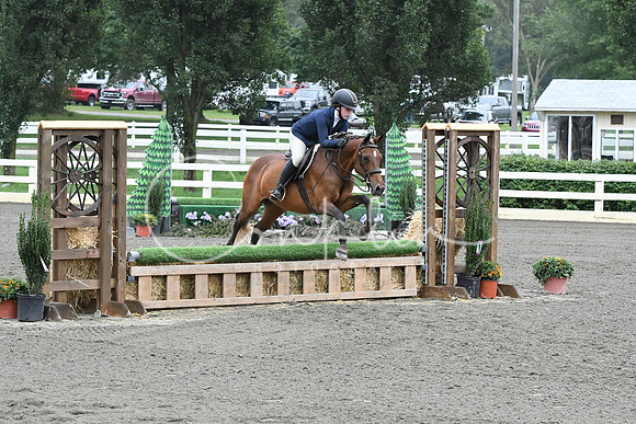 HSM_1800