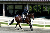 HSM_0469