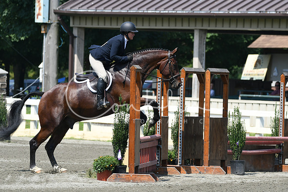 HSM_0531