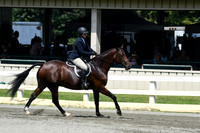 HSM_0534