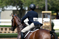 HSM_0537