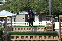 HSM_0539