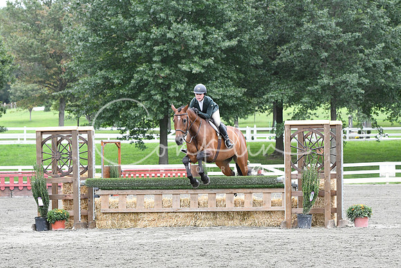 HSM_4621