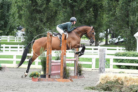 HSM_4628