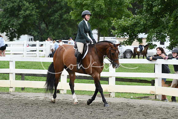 HSM_4631