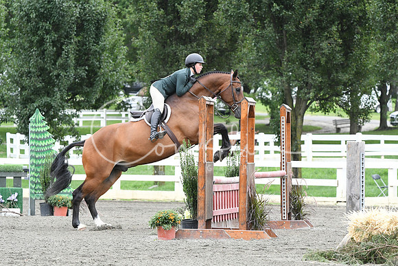 HSM_4654