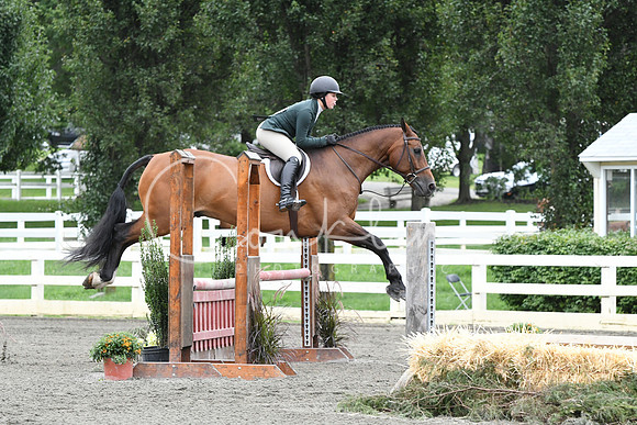 HSM_4656