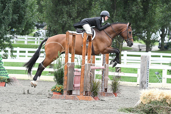 HSM_5299