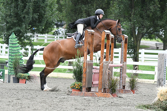 HSM_5298