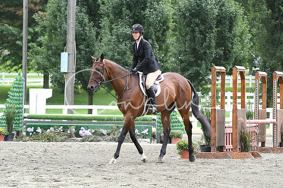 HSM_3529