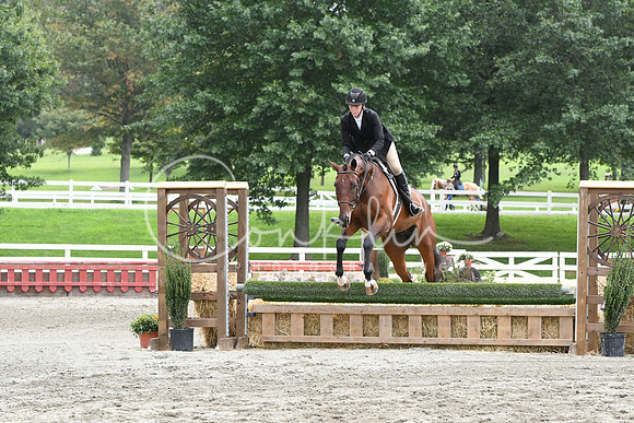 HSM_3536