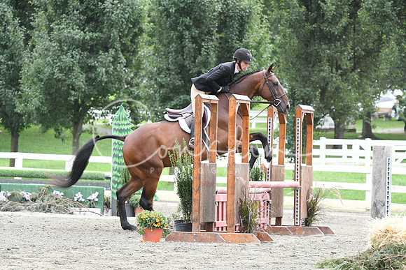 HSM_3540