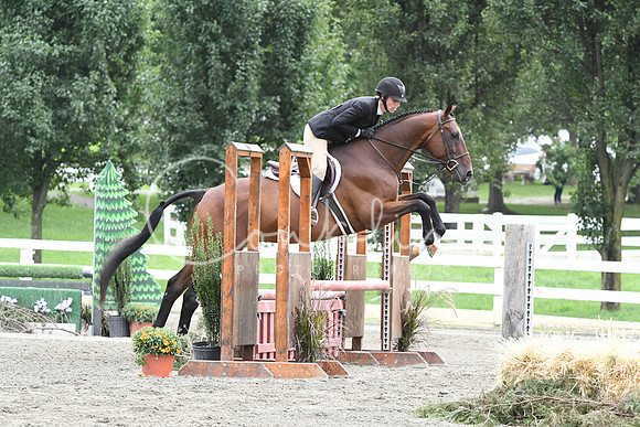 HSM_3541