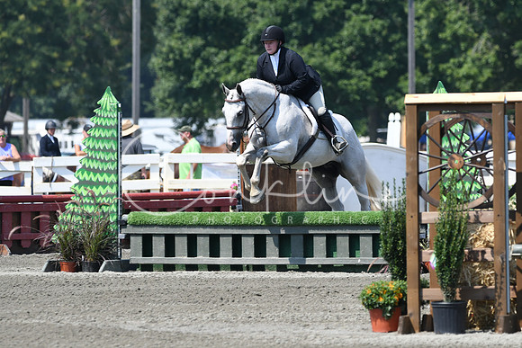 HSM_0485