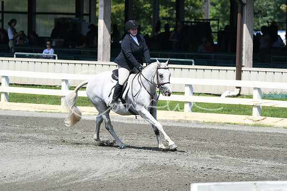 HSM_0493