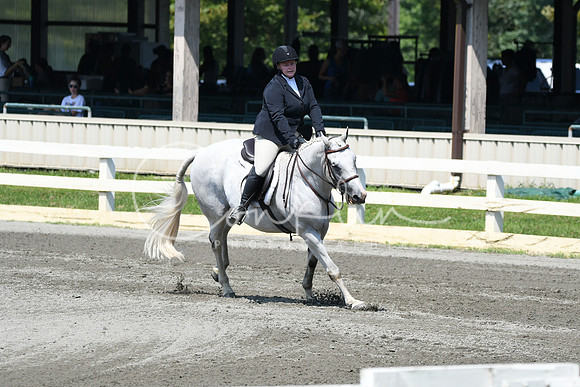 HSM_0494