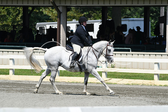 HSM_0517