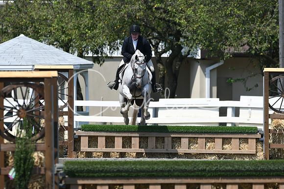 HSM_0520