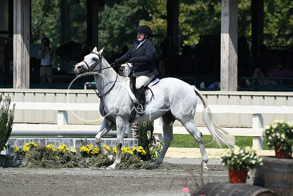 HSM_0527